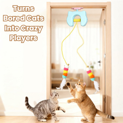 Sanrova™ CrazyCat Swing