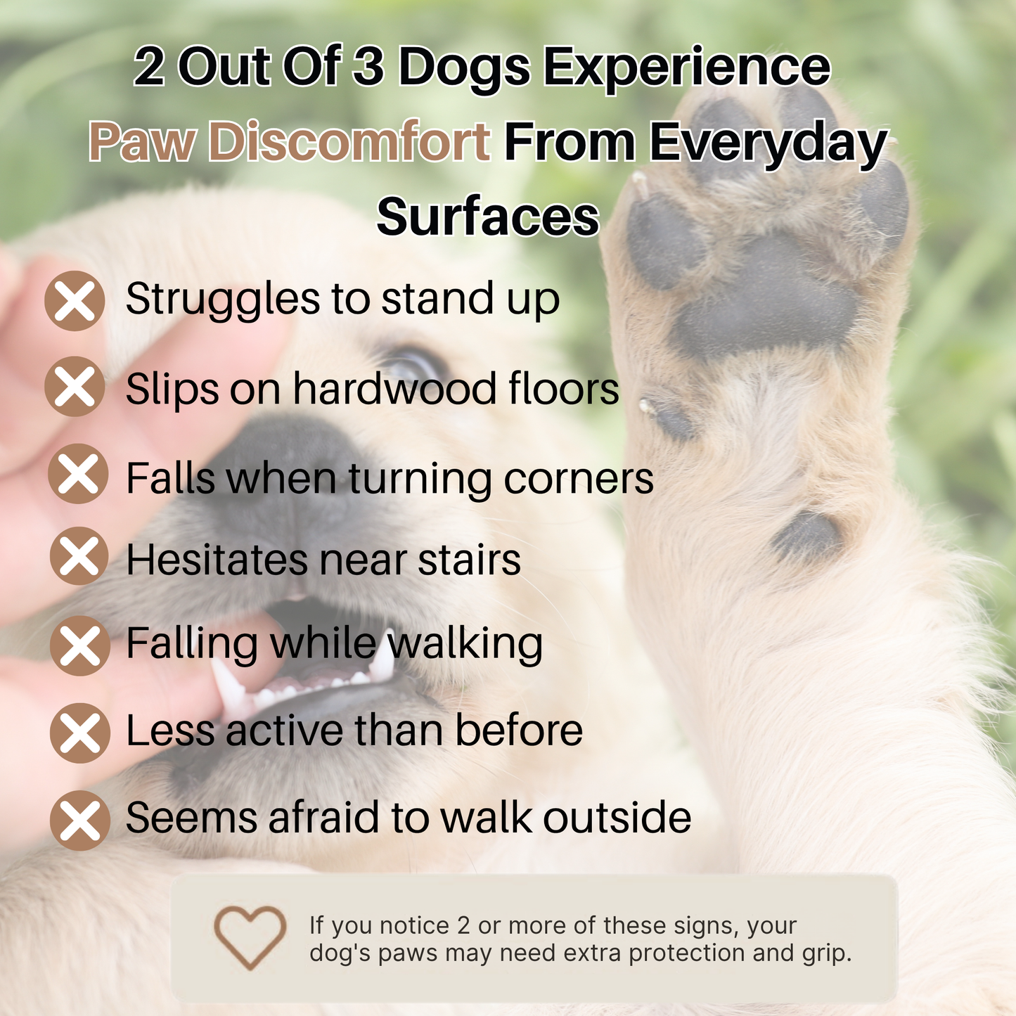 PawGuard™ Mobility Grips