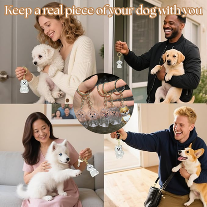 FurEver Close™