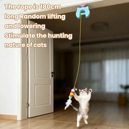 Sanrova™ CrazyCat Swing