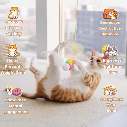 Sanrova™ CrazyCat Swing